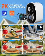 Camii Bird Feeder with Camera, Smart Birdfeeder with AI Identify Birds Species, 2K HD, Solar Powered, Night Vision, Real-Time Alert, IP66 Waterproof for Backyard Bird Watching Enthusiasts (Dark Green)