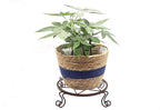 Flower Pot Stand Heavy Duty 2 Pack Planter Holder Indoor Outdoor Home & Garden Decor(Champagne)