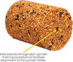 JCs Wildlife Squirrel Stopper No Mess, No Waste Large Cylinder with Hole 4.5lbs (2-Pack)