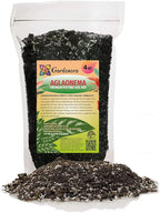 Gardenera Aglaonema Potting Mix - Promote Strong Roots and Vibrant Foliage with Our Premium Blend - 4 Quart, MAIN-AGLAONEMA-4QT