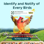 Bird Feeder with Camera Solar Powered, Smart Bird Feeder with AI Identify for 10000 Plus Species, Auto Capture & Real-time Notifications, Ideal Gift for Birdwatching, Bamboo
