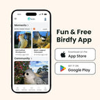 Birdfy Smart Bird Feeder with Camera Solar Powered, Night Insight & Slow-Motion Video for Outdoors & Backyard Birds Watching, AI Identify 6000+ Species by Subscription, Wood