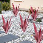 EROCK 2 Pcs Tequila Rustic Sculpture, Wind Resistant Metal Agave Plant Outdoor Home Decor, DIY Rustic Hand Painted Metal Agave Garden Art Plant Country Sculpture Statue Patio Stake Lawn Ornament Gift