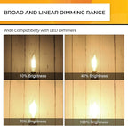 Hizashi LED Candelabra Bulbs 60 watt Equivalent 2700K Soft Warm White, Dimmable Chandelier Light Bulbs, 90+ CRI 6W 550LM, CA11 Flame Tip E12 LED Candle Bulb, UL Listed - 12 Pack