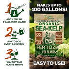 Organic Sea Kelp Fertilizer for Plants – Water-Soluble – Makes 100 Gallons – Kelp Meal Concentrate Plant Food – for Indoor Gardens, Hydroponics, Vegetables, Houseplants - Smart Grower - 4oz Bag