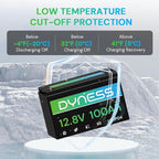 12V 100Ah LiFePO4 Battery BCI Group 31 Lithium Battery with Low-Temp Cut Off Protection, A+ Grade Cell Built-in 100A BMS, Perfect for RV, Solar System, Off-Grid, Home Energy Storage