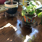 2 Pack Black Plant Stand for Flower Pot Heavy Duty Potted Holder Indoor Outdoor Metal Rustproof Iron Garden Container Round Supports Rack for Planter Bronze, Pumpkin Stand Outdoor…