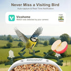 birdsnap® P33 - Bird Feeder with Camera Solar Powered, 2K Video Bird Camera Feeder Live with 32GB Card, AI Identify Feather Species, Auto Record in Backyard, for Birds Lover