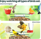 SOLIOM Solar Bird Feeder with Camera for Outdoors - Durable Metal AI Smart Birdhouse, 2K Live View & Instant Alerts, Squirrel Proof - Ideal Bird Watching Gift (Green)