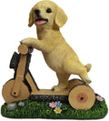 Solar Garden Statue LED Outdoor Garden Decor Funny Animal Sculpture for Yard Patio Lawn Weatherproof Resin Birthday Art Gift（Dog on Bicycle）