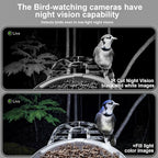 DCT Smart Bird Feeder with Camera: 1080P HD AI Identify 11K+ Species Weatherproof Squirrel Alert APP Control 2-Way Audio for Bird Lovers Garden/Backyard Outdoor Watching Gift