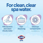 Clorox® Pool&Spa™ Spa Water All-in-One Sanitizer & Shock, Destroys Contaminants, Clears Cloudy Water, 2LB (Pack of 1)