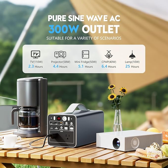 300W Portable Power Station, 299.7Wh Power Bank with AC Outlet, Dual Way 65W PD/USB-C Port, Laptop Charger Battery Pack Power Supply, Solar Generator for Camping Home Emergency
