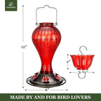 Kingsyard 2 Pack Glass Hummingbird Feeder 24 Ounces, 6 Feeding Ports, Hanging Bird Nectar Feeder for Outdoors Garden Yard Décor, Ant Moat Included, Red