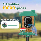 Bird Feeder with Camera Outdoor Solar: Smart Birdfeeder with AI Recognition - 2K HD Live Stream Video Camera for Outside Wild Birds Garden Decor - Bird Lover Gifts