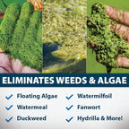 Airmax Knockdown Defense 2-in-1 Liquid Pond Algae Control, Effective & Fast Acting Algaecide, Aquatic Weed Treatment for Clear Water in Ponds & Lakes, Liquid Formulation, 16 oz with Treatment Booster