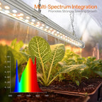 Bstrip Indoor Greenhouse with Grow Light, Mini PVC Tent with PE Base Mat, Ventilation Windows & Zippered Door, 18W Tabletop Greenhouse Light for Seed Starting with Timer, 23.8" x 15.7" x 20.5"