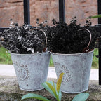 Black Artificial Flowers, Fake Outdoor UV Resistant Plants Faux Plastic Greenery Shrubs Indoor Outside Hanging Planter Home Kitchen Office Wedding, Garden Decor (Black)