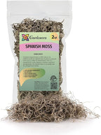 Gardenera Premium Natural Spanish Moss | Natural Preserved - Great Ground Cover - Filler for Potted Plants - 2 Quart Bag (GRD-SPANISH-MOSS-2QT)