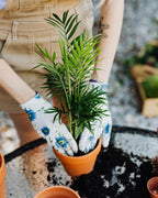 Gardenera's Premium Peace Lily Potting Mix The Perfect Growing Environment for Your Indoor Plants in Planters, Pots, and Containers [20 Quart Bag]