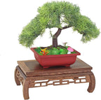 GOLDY&WENDY Vase Lamp Teapot Wooden Oriental Style Rectangular Base Rosewood Solid Wood Carving Display Stand