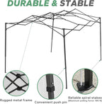 8.7'x 6.6'x 7' Small Walk-in Greenhouse for Outside & Indoor with 2 Roll-up Zipper Doors, 4 Ventilated Mesh Windows, Patio Plant Gardening Greenhouse for Backyard