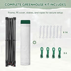 EAGLE PEAK 10x10 Portable Walk in Greenhouse with Polyester Reinforced Corners, Instant Pop up Indoor Outdoor Gardening Green House, Roll Up Zipper Entry Doors and Mesh Windows, Green/White