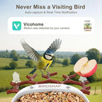 birdsnap® P33 - Bird Feeder with Camera Solar Powered, 2K Video Bird Camera Feeder Live with 32GB Card, AI Identify Feather Species, Auto Record in Backyard, for Birds Lover