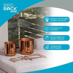 BIRDROCK HOME 2pc Modern Planter with Stand - Elevated Plant Holder for Indoor/Outdoor Use - Sturdy Black Floor Standing Pot Stand for Houseplants, Trees, and Flowers - Small Large - Copper