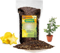 GARDENERA Premium Carambola Potting Soil Mix - Perfect Balance of Nutrients, Drainage, and Aeration for Thriving Starfruit Trees - 3 Quart