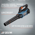 SENIX X2 20 Volt Max* 2-Piece Cordless Power Tool Combo Kit with Battery Powered 10-Inch String Trimmer and Variable Speed Leaf Blower, Includes 4.0 Ah Battery & Charger (S2K2B1-03)