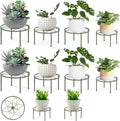 Metal Plant Stands, Anti-Rust Iron Flower Pot Stand, Heavy Duty Plant Pot Shelf, Decoration Racks for Home Indoor and Outdoor 10 Pcs (Green)