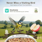 birdsnap® P33 - Bird Feeder with Camera Solar Powered, 2K Video Bird Camera Feeder Live with 32GB Card, AI Identify Feather Species, Auto Record in Backyard, for Birds Lover