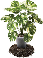 Premium Aroid Potting Mix - Soil Free Blend for Aroids - Growing Medium for House Plants by Gardenera - (3 Quart Bag)
