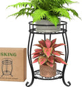 2 Tier Metal Plant Stand Indoor Outdoor , Rustproof Stable Plant Stands Multiple Plant Rack Holder Flower Pot Stand for Living Room Balcony Garden Patio Bedroom (Black, 19.5)