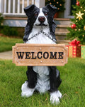 Border Collie Solar Welcome Statue, Hand-Painted Resin Sitting Dog Figurine with Lantern and Dual Wooden-Style Signs, Intelligent Guardian Sculpture for Garden and Porch Décor