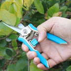FLORA GUARD 6.5-Inch Floral Scissors, Zinc Alloy with Rubber Handle, Toothed Blade for Quick Cutting, Suitable for Flower Placement, Plant Pruning, Rose or Fruit Picking (Blue)