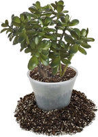 GARDENERA Premium Jade Plant Potting Soil Mix - (1 Quart Bag)