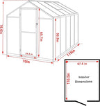 BlueWish 6x10FT Greenhouses for Outdoors, Aluminum Greenhouse with Adjustable Vents, Rivet Structure, Walk-in Green House with Polycarbonate, Heavy Duty Greenhouse Kit for Garden, Gray