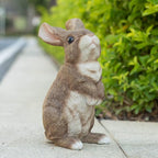 Vivid Rabbit Sculpture - Realistic Fine Resin Sculpture, Suitable for Outdoor Courtyards and Courtyards Natural Themed Garden Decorations, Easter Spring Home Decor 9.5inch