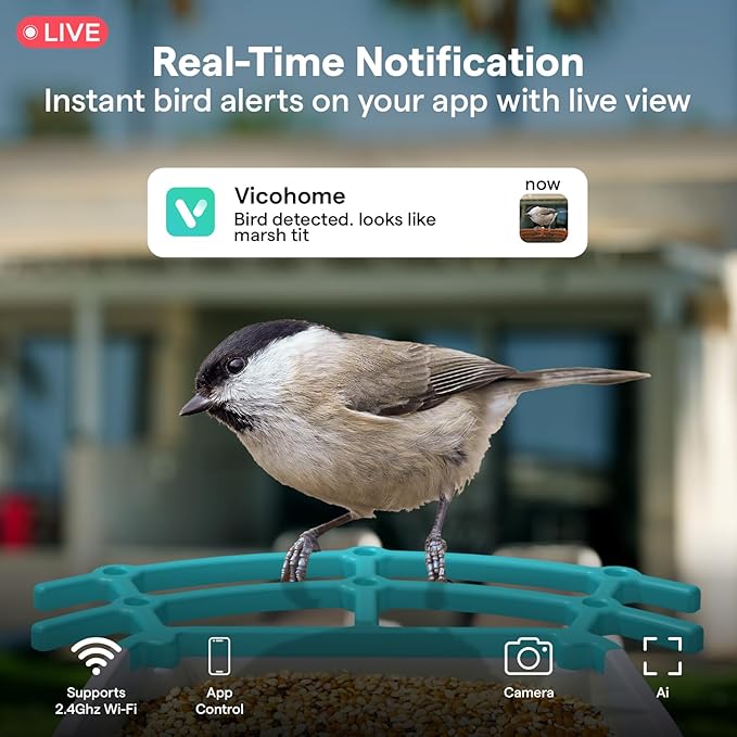 BirdsView Solar Powered Bird Feeder with 2K Ai Camera, Hummingbird Feeder, Bird House Camera, Live Alerts & Species Recognition – Gift for Bird Lovers