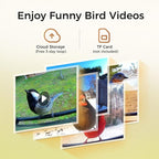 TT Nature Smart Squirrel-Proof Bird Feeder with Camera 2K, Solar Powered, AI Bird Species Recognition, Instant Notification, CCPA Data Security, Bamboo 3.2L Large Capacity, Ideal Gift