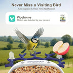 birdsnap® P33 - Bird Feeder with Camera Solar Powered, 2K Video Bird Camera Feeder Live with 32GB Card, AI Identify Feather Species, Auto Record in Backyard, for Birds Lover
