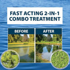Airmax Knockdown Defense 2-in-1 Liquid Pond Algae Control, Effective & Fast Acting Algaecide, Aquatic Weed Treatment for Clear Water in Ponds & Lakes, Liquid Formulation for Easy Use, 16 fl oz