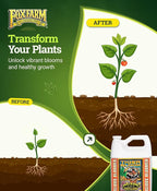 FoxFarm Tiger Bloom Liquid Fertilizer Concentrate - Fast Acting Formula for Vicious Growth with Phosphorus - Encourages Fruit, Flower & Bud Development, NPK 2-8-4 (Gallon)