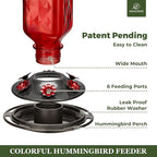 Kingsyard 2 Pack Glass Hummingbird Feeder for Outdoor Hanging, 24 Ounces, 6 Feeding Ports, Bird Nectar Feeder for Garden Décor, Ant Moat Included, Red