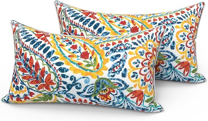 LVTXIII Set of 2 Outdoor Lumbar Pillows for Patio Furniture with White Piping, 12"x20" Fade Resistant Patio Lumbar Pillows with Inserts for Home Coach Sofa Use, Paisley Multi