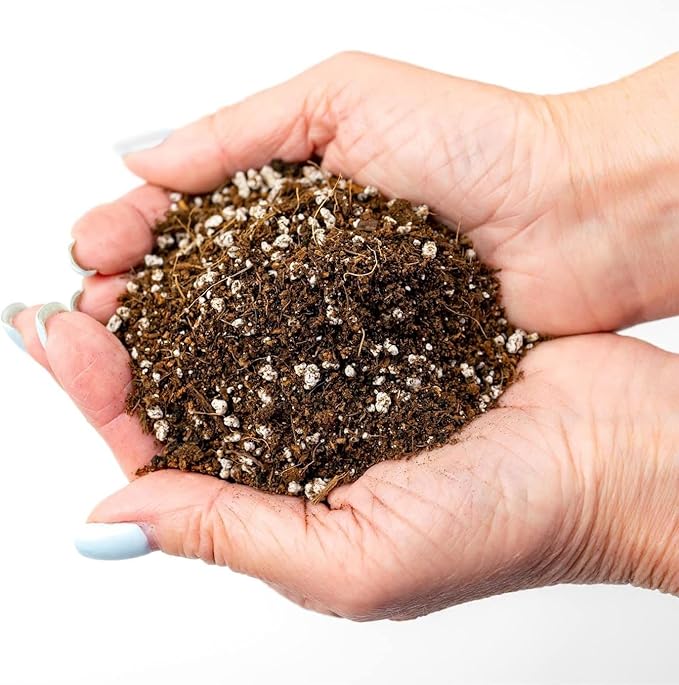 GARDENERA Premium Organic Potting Soil - 2 Quart - The Ideal Growing Medium for Delicious and Nutritious Homegrown Potatoes
