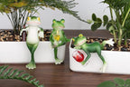 LAIDANLA Miniature Frog Figurines Funny Frog Garden Decor Outdoor Statue Plant Decorations for Garden Lawn Yard Ornament (Drinking Red Wine)