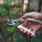 7" Small Pruning Shears Garden Shears - Premium Alloy Steel Bypass Pruner, Precision-ground Blades, Heavy Duty Gardening Tools, Ivory